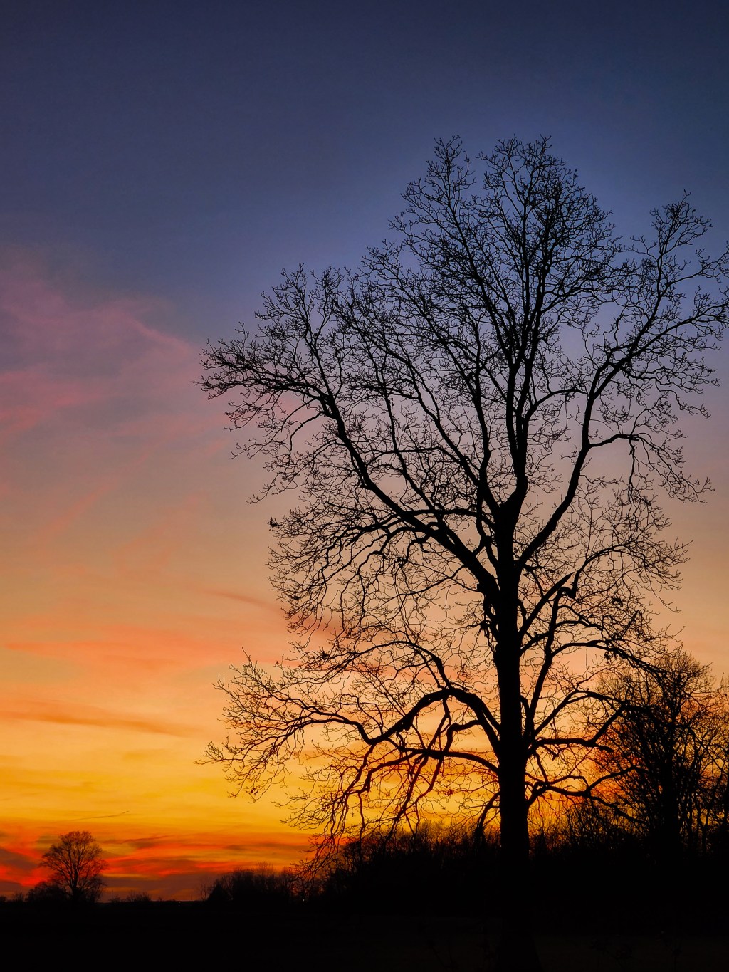 Soul in the&nbsp;Sky