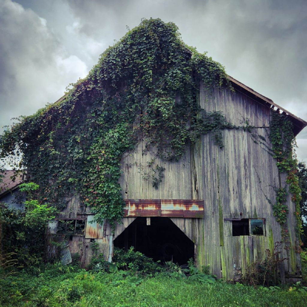 Old Barn