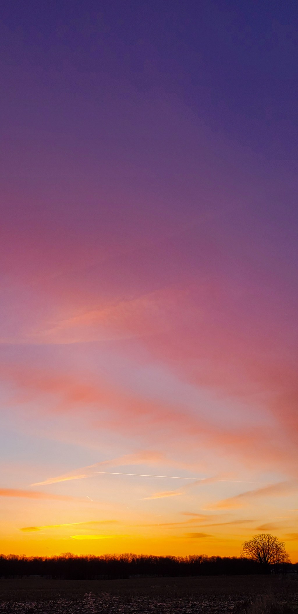 First Day of&nbsp;April