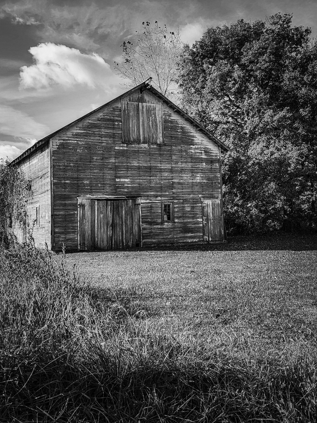 Standing Through Time